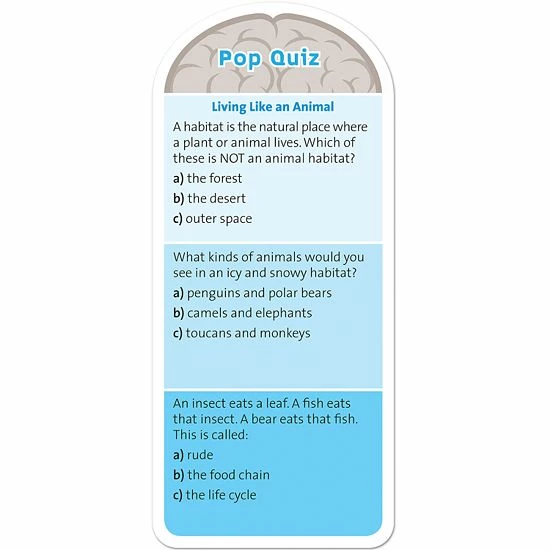 Melissa & Doug Smarty Pants First Grade Card Set - Image 2